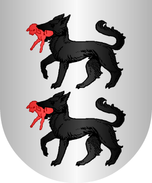 ESCUDO ALEATORIO